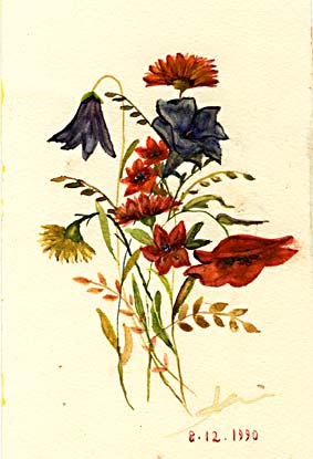 Fiori inventati