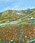 Campo di papaveri