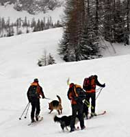 attenti al fuori pista