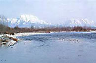 Valle del Piave