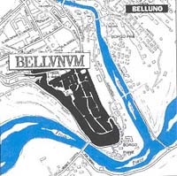 Bellunum sorta sul promontorio sporgente tra Ardo e Piave