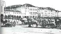 Mercato del bestiame in Campedel /foto A. Breveglieri, ediz. P. Breveglieri